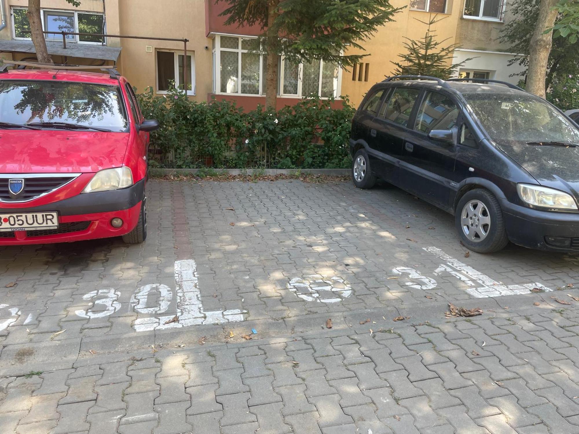 Kitty Sunflower Apartment Alba Iulia Ngoại thất bức ảnh